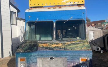 Chevrolet-Apv-cargo-diesel-1979-blue-2
