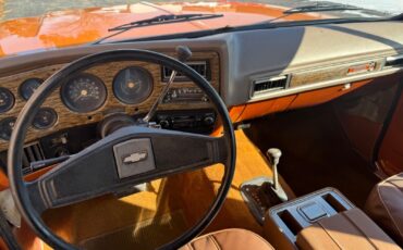 Chevrolet-Blazer-1976-SUV-20