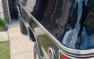 Chevrolet-Blazer-1979-8