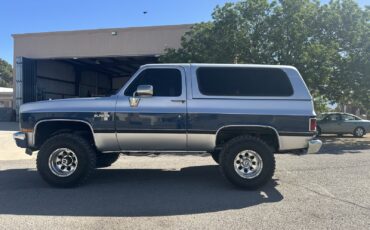 Chevrolet-Blazer-1989-5