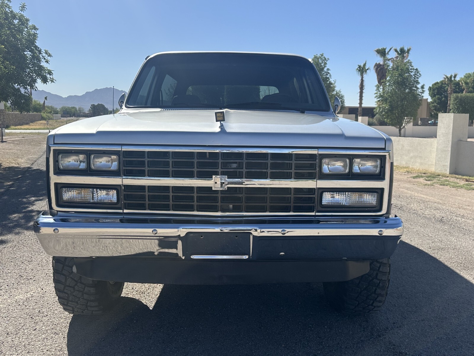 Chevrolet-Blazer-1989-7