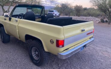 Chevrolet-Blazer-convertible-1973-11