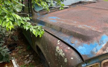 Chevrolet-C-10-1964-2