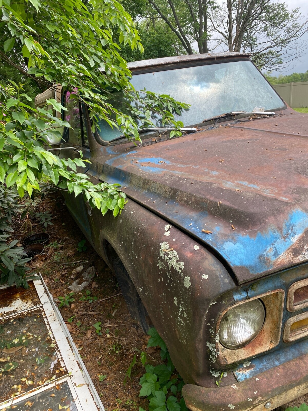 Chevrolet-C-10-1964-2