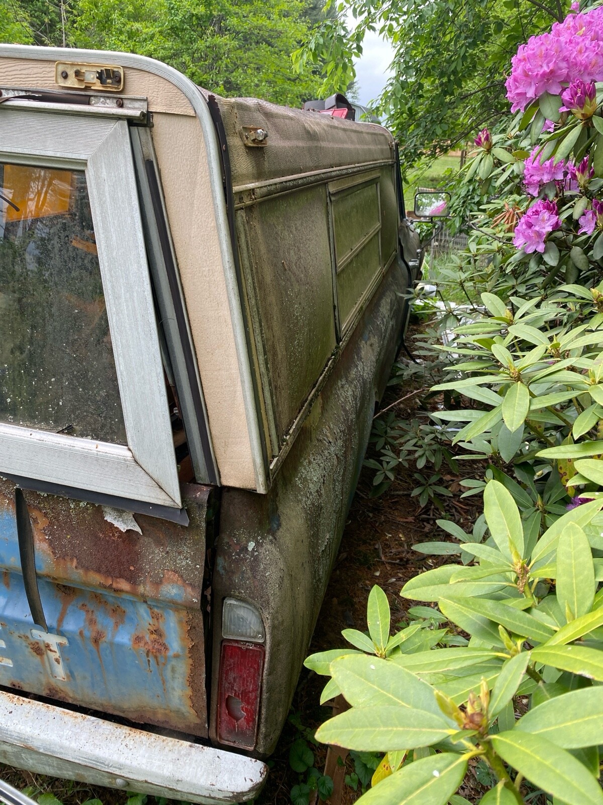 Chevrolet-C-10-1964-5