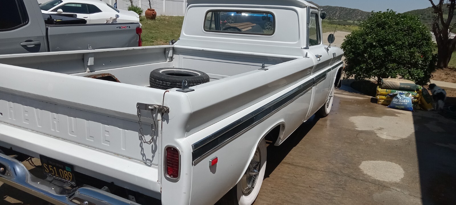 Chevrolet-C-10-1965-4