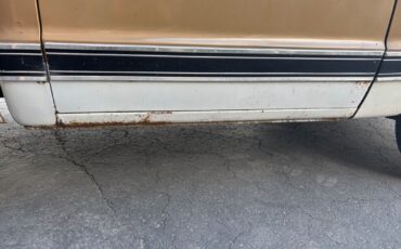 Chevrolet-C-10-1969-27