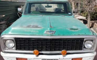 Chevrolet-C-10-1969-Standard-Cab-Pickup-22