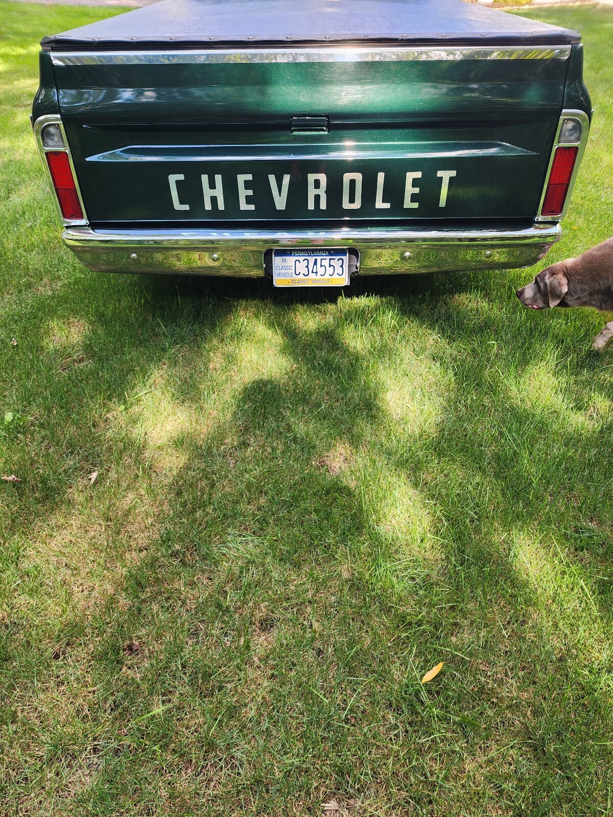 Chevrolet-C-10-1970-4