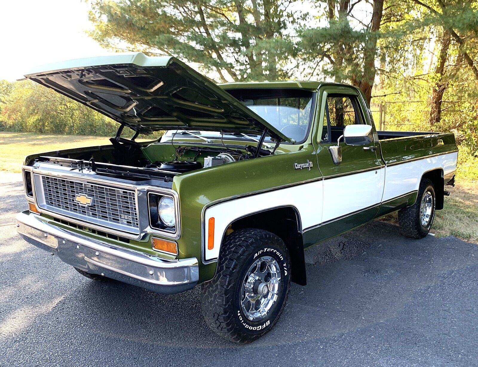Chevrolet C-10 1973 Standard Cab Pickup