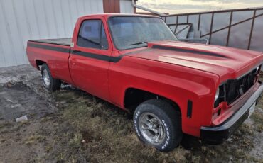 Chevrolet-C-10-1978-1
