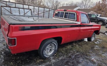 Chevrolet-C-10-1978-2