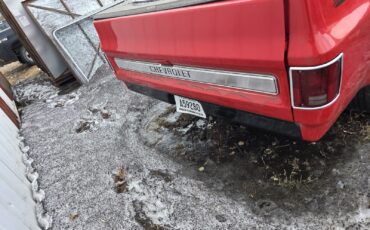 Chevrolet-C-10-1978-3