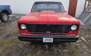 Chevrolet-C-10-1978-4
