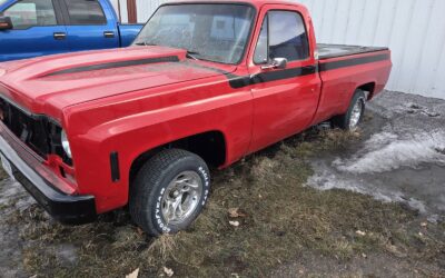 Chevrolet C-10 1978