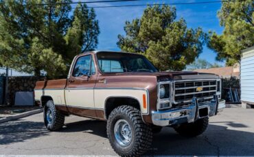 Chevrolet-C-10-1979-1