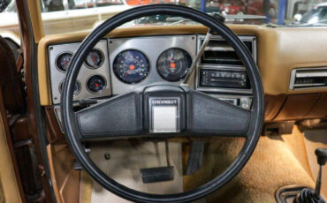 Chevrolet-C-10-1979-10