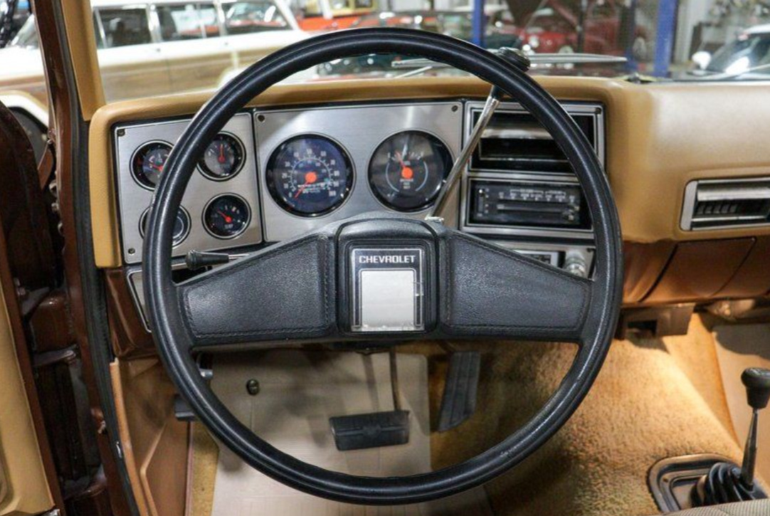 Chevrolet-C-10-1979-10