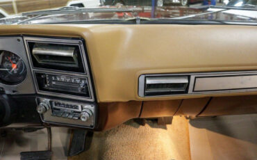 Chevrolet-C-10-1979-11