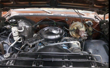 Chevrolet-C-10-1979-13