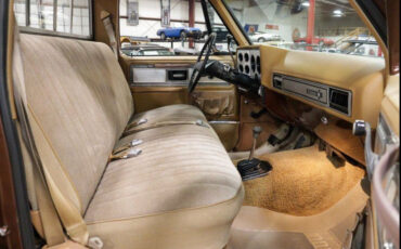 Chevrolet-C-10-1979-14