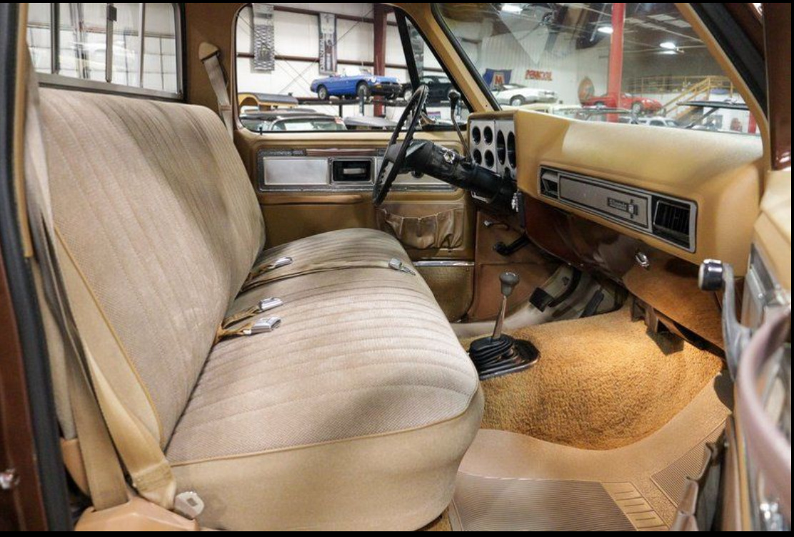 Chevrolet-C-10-1979-14