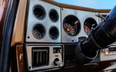Chevrolet-C-10-1979-18