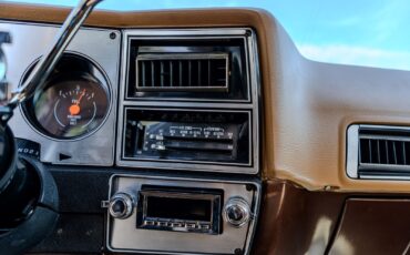 Chevrolet-C-10-1979-19