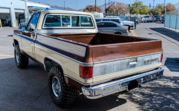 Chevrolet-C-10-1979-2