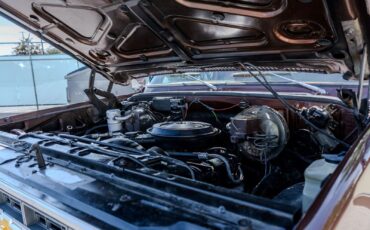 Chevrolet-C-10-1979-22
