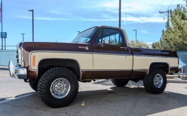 Chevrolet-C-10-1979-3