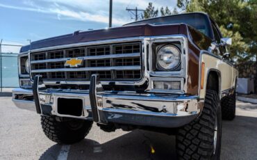 Chevrolet-C-10-1979-4