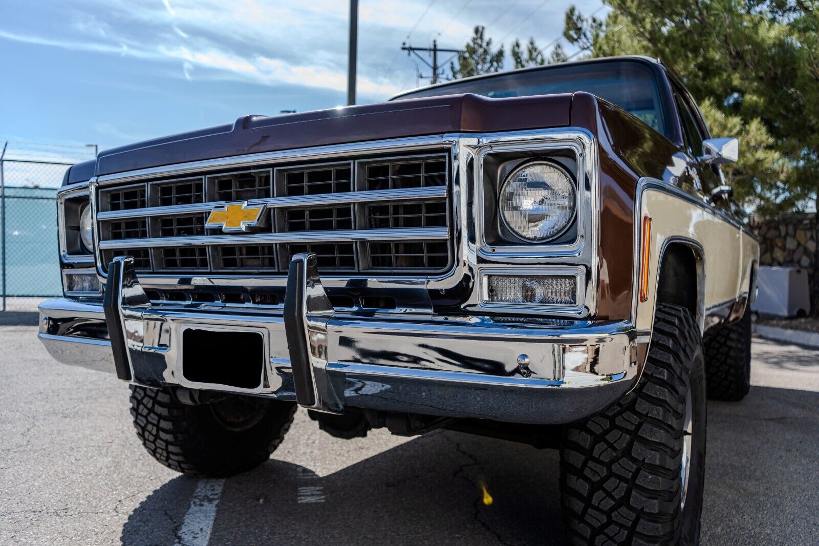 Chevrolet-C-10-1979-4