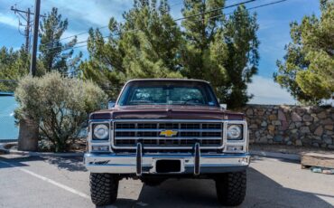 Chevrolet-C-10-1979-5