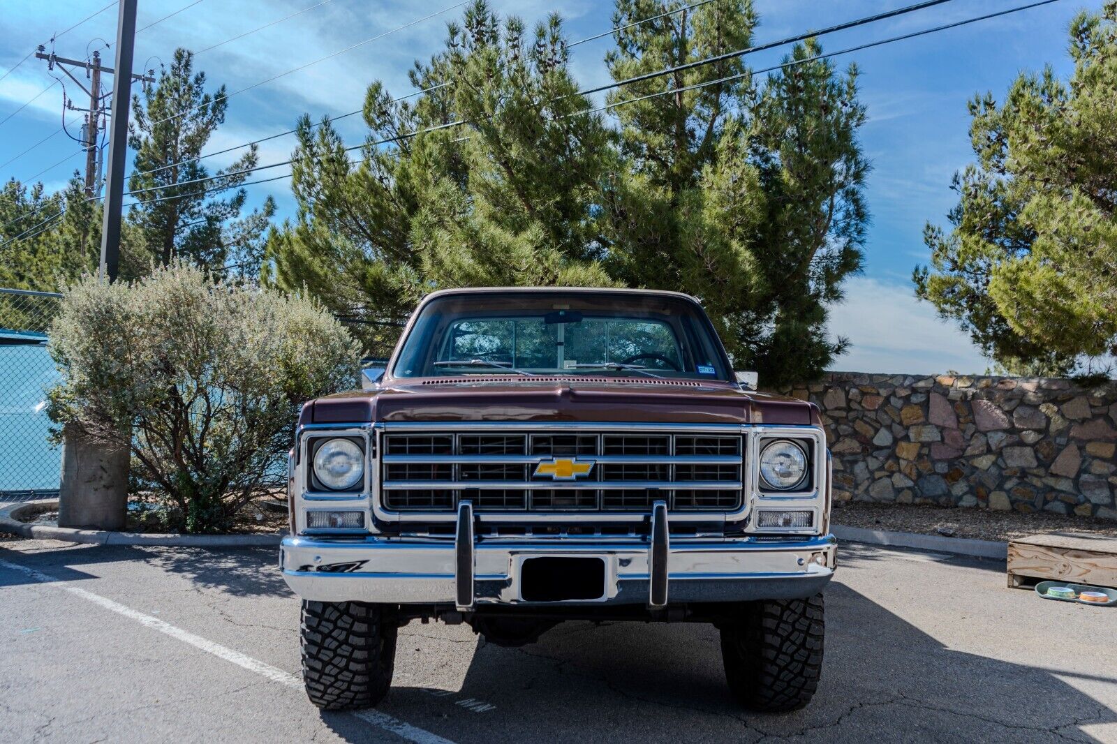 Chevrolet-C-10-1979-5
