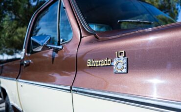 Chevrolet-C-10-1979-7
