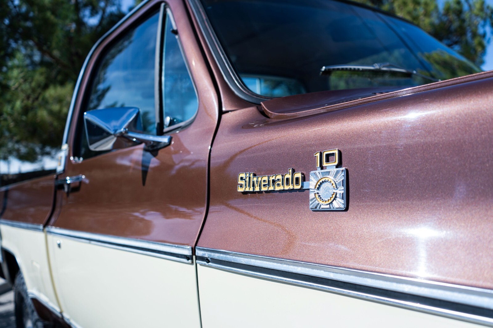 Chevrolet-C-10-1979-7