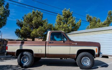 Chevrolet-C-10-1979-8