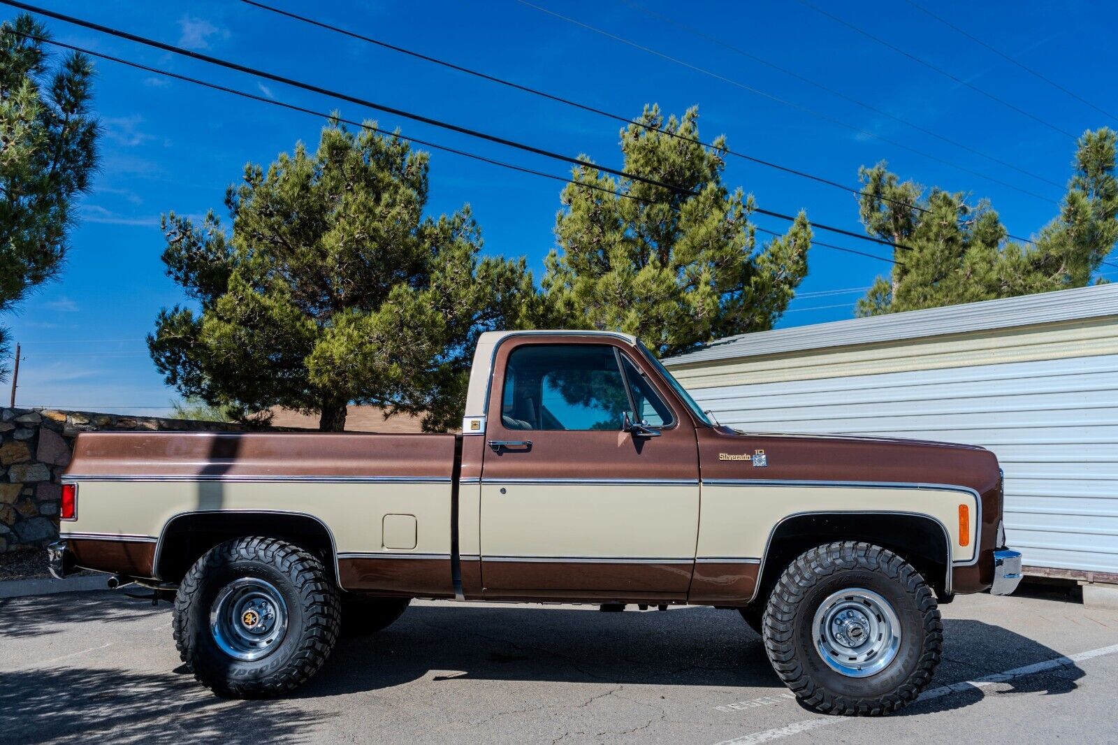 Chevrolet-C-10-1979-8