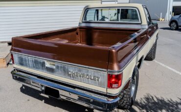 Chevrolet-C-10-1979-9