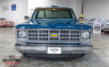 Chevrolet-C-10-1979-Pickup-Truck-10