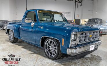 Chevrolet-C-10-1979-Pickup-Truck-12