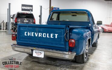 Chevrolet-C-10-1979-Pickup-Truck-15