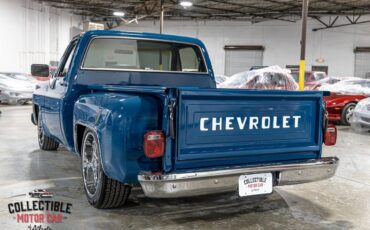 Chevrolet-C-10-1979-Pickup-Truck-17