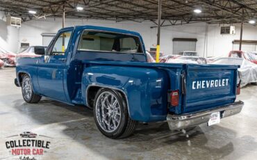 Chevrolet-C-10-1979-Pickup-Truck-18