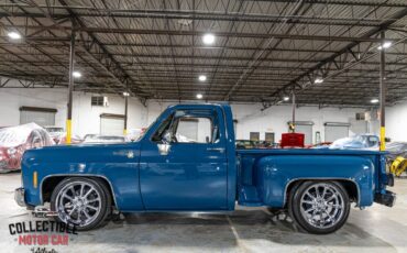 Chevrolet-C-10-1979-Pickup-Truck-19