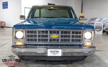 Chevrolet-C-10-1979-Pickup-Truck-20