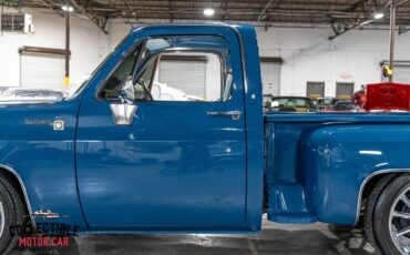 Chevrolet-C-10-1979-Pickup-Truck-23