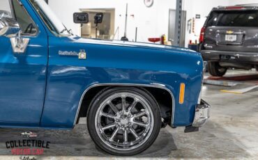 Chevrolet-C-10-1979-Pickup-Truck-27