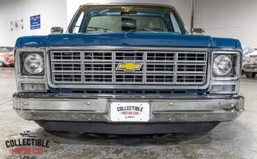 Chevrolet-C-10-1979-Pickup-Truck-28